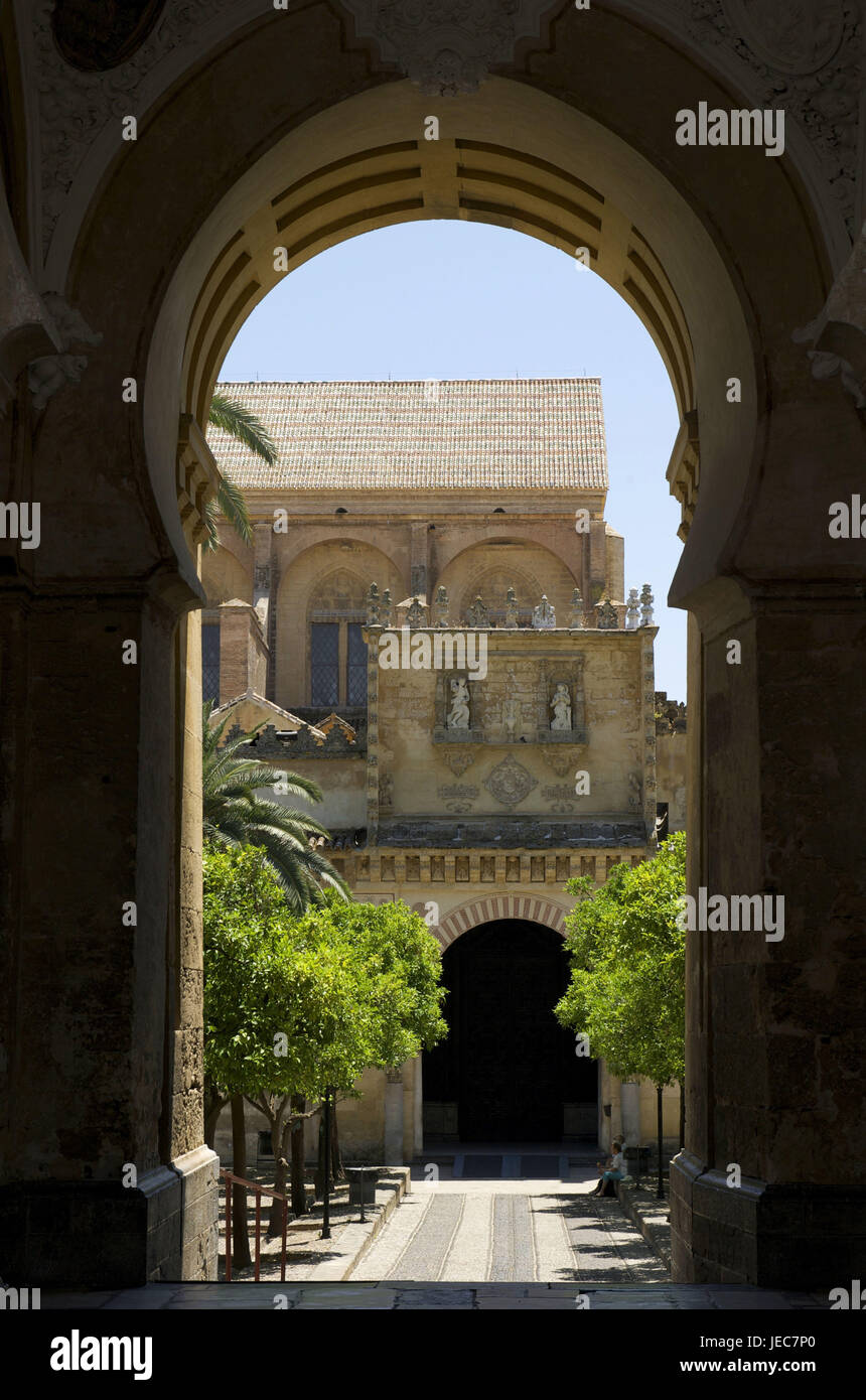 Spain, Andalusia, Cordoba, La Mezquita, orange garden, Stock Photo