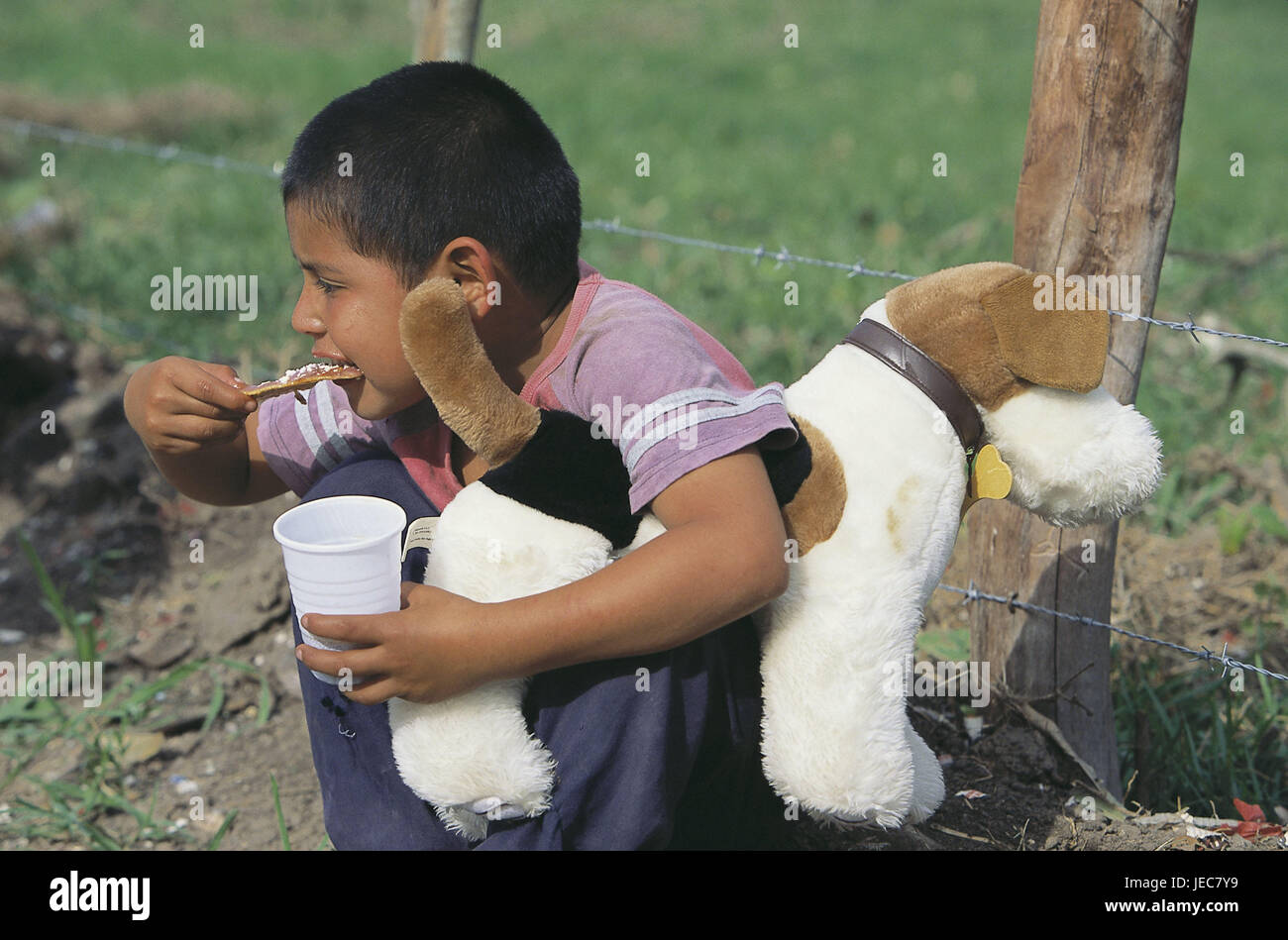 Honduras, Copan, boy, soft animal, hold, mugs, eat, no model release, Central America, Latin America, person, child, local, swarthy, soft toy, dog, waffle, sweet, squat, outside, child feast, Stock Photo