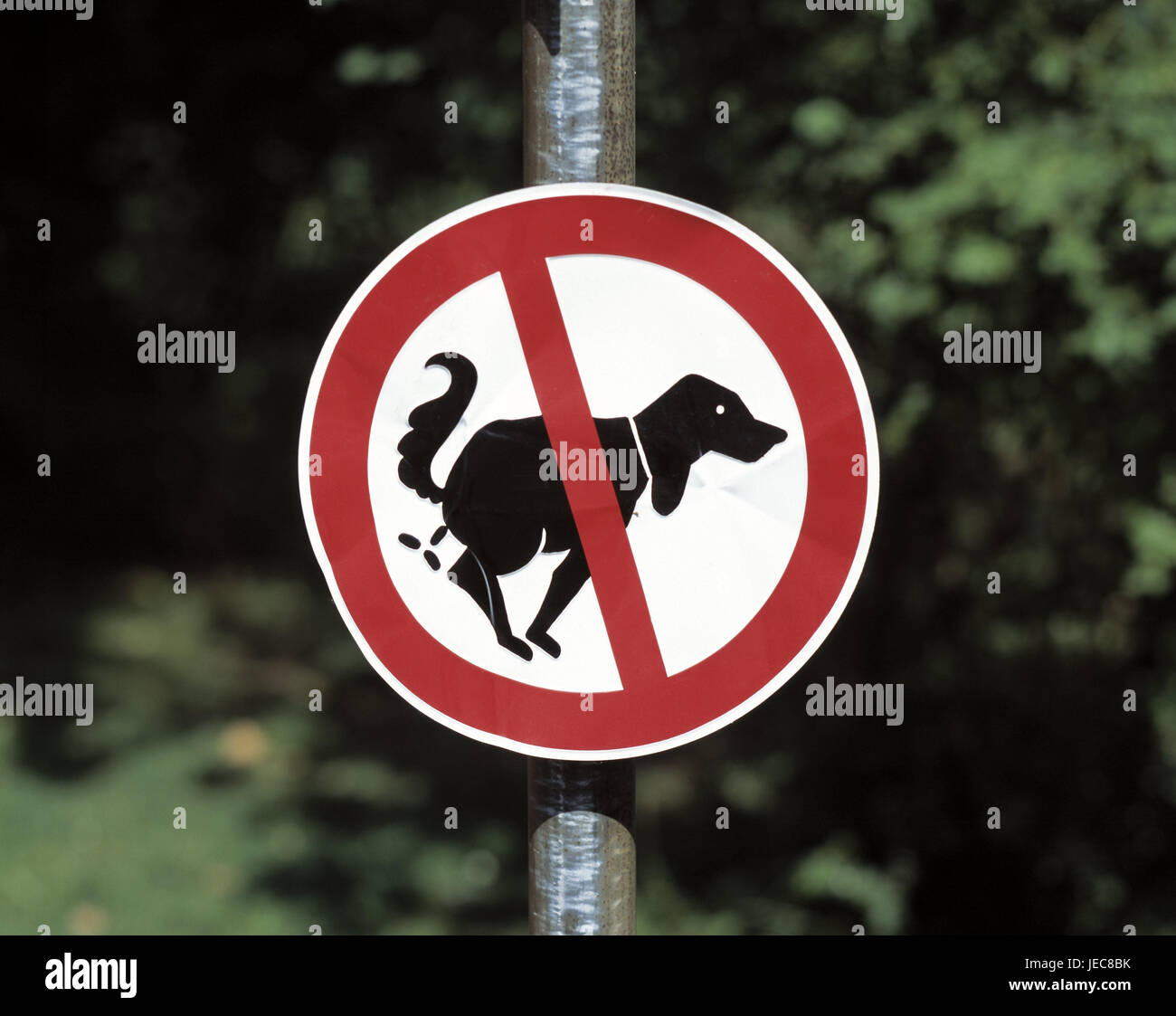 No parking sign, 'dog excrement', sign, sign, ban, icon, dog, excrement stop, dog small heap, not equipped, forbidden, unwanted, prohibits, icon, conception, consideration, Rücksichtsnahme, avoidance, omitted, impurity, fouling, outside, animals, Stock Photo