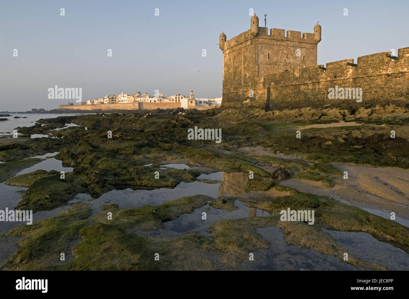 Morocco, Essaouira, city wall, background, Medina, sea, low tide, algae, Africa, town, port, fishing town, tourism, destination, place of interest, defensive wall, architecture, Old Town, historically, UNESCO-world cultural heritage, outside, deserted, tides, Stock Photo