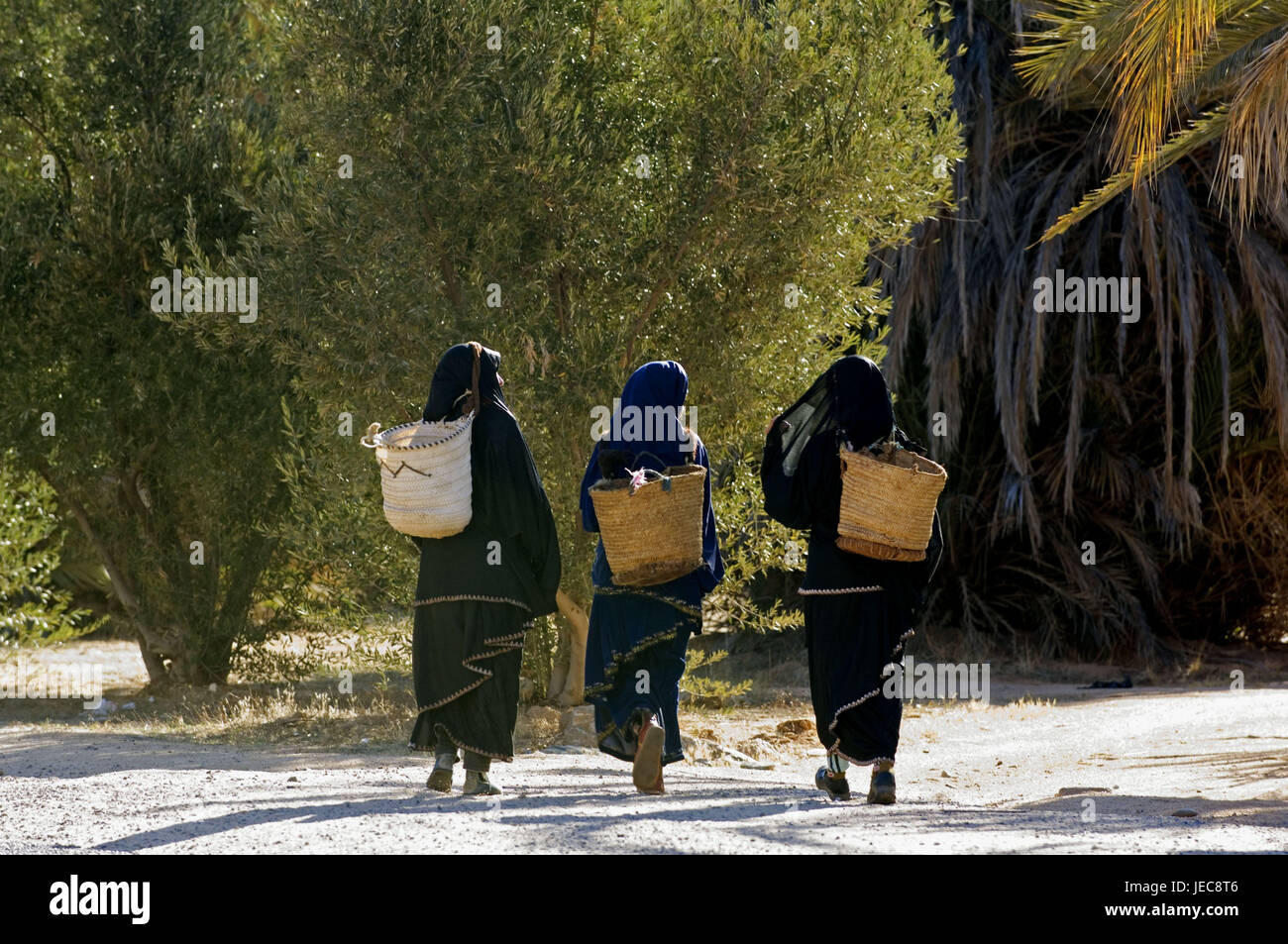 Morocco Tafraoute Women Go Baskets Carry Back View Africa Stock Photo Alamy