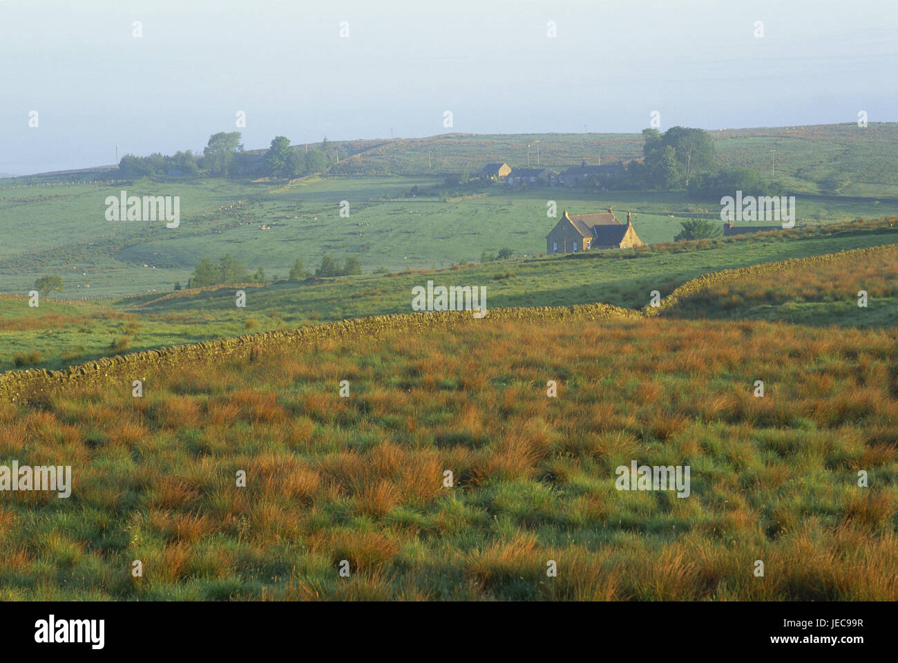 Great Britain, England, Northumbria, scenery, fog, farmhouse, morning light, Europe, Northumberland, width, distance, view, meadows, fields, hills, foggy, hazy, morning, atmospheric, deserted, house, remotely, grass, defensive wall, Stock Photo
