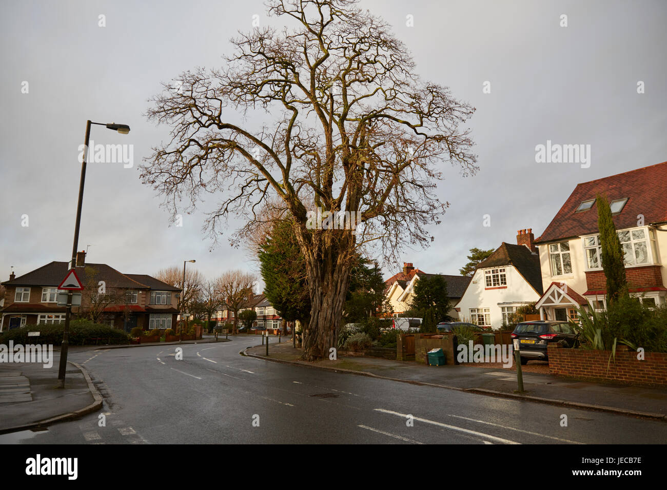 Dorset Road, London, UK Stock Photo Alamy