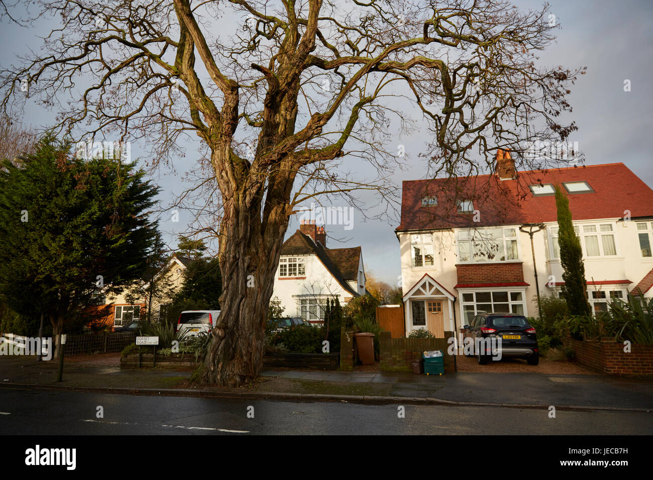 Dorset Road, London, UK Stock Photo Alamy