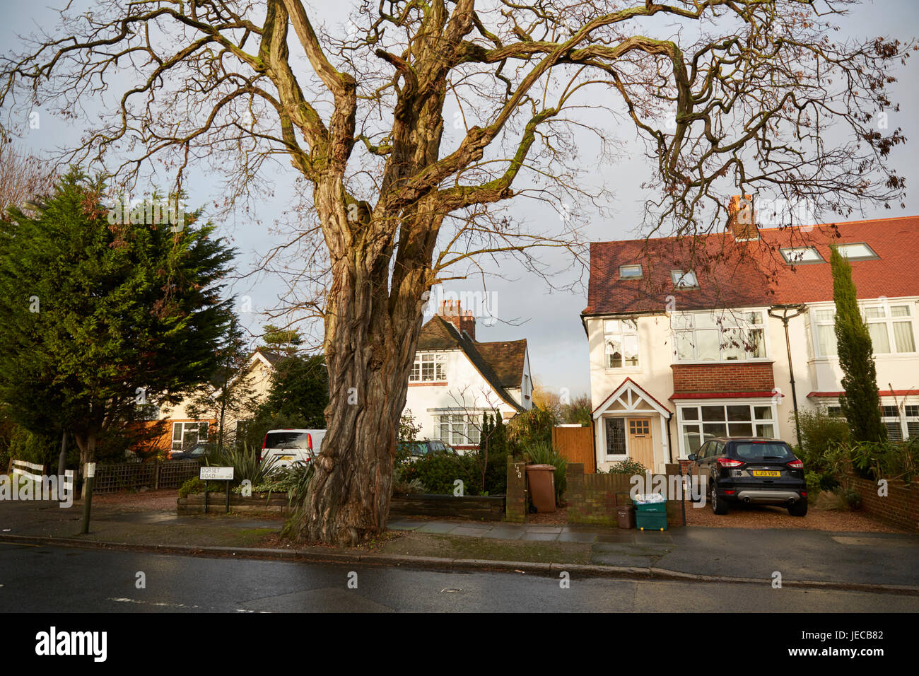Dorset Road, London, UK Stock Photo Alamy