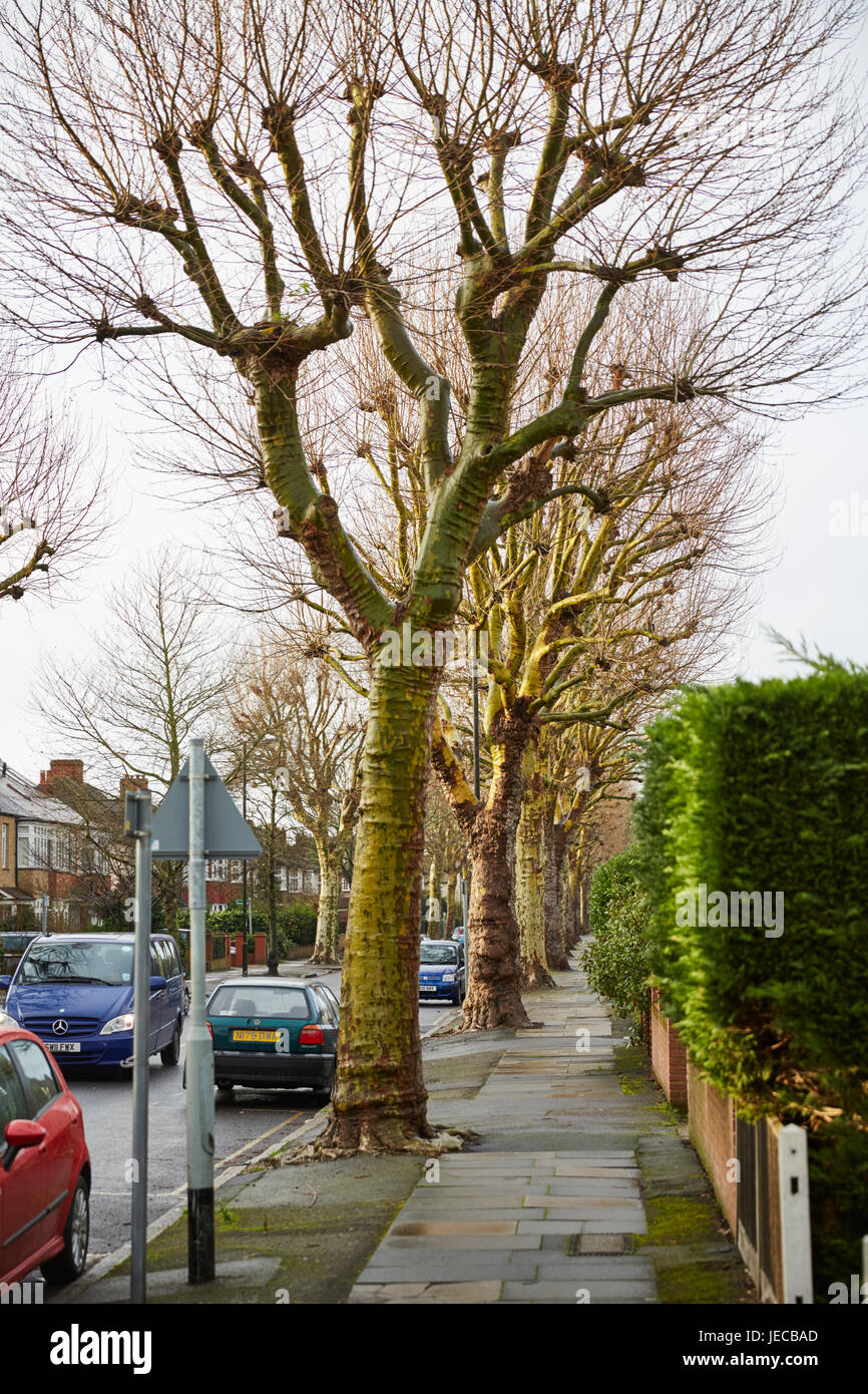 Dorset Road, London, UK Stock Photo Alamy