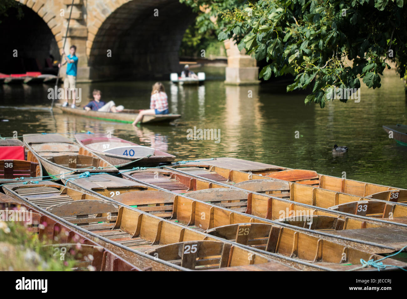 Boating In Punts On River Cherwell In Oxford Stock Photo