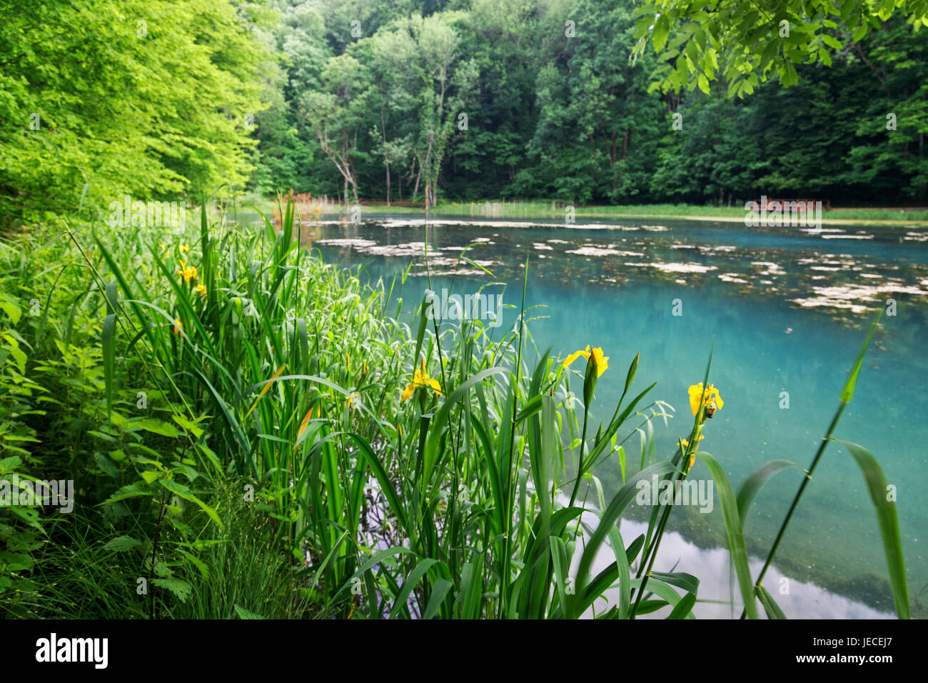 Lake on Jankovac Nature Park, Croatia Stock Photo