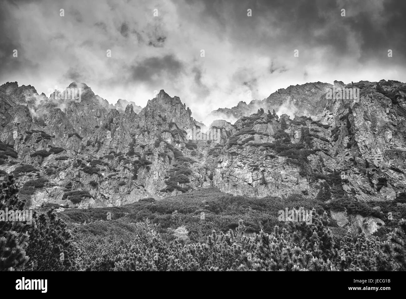 Black and white picture of High Tatra Mountains, Slovakia. Stock Photo