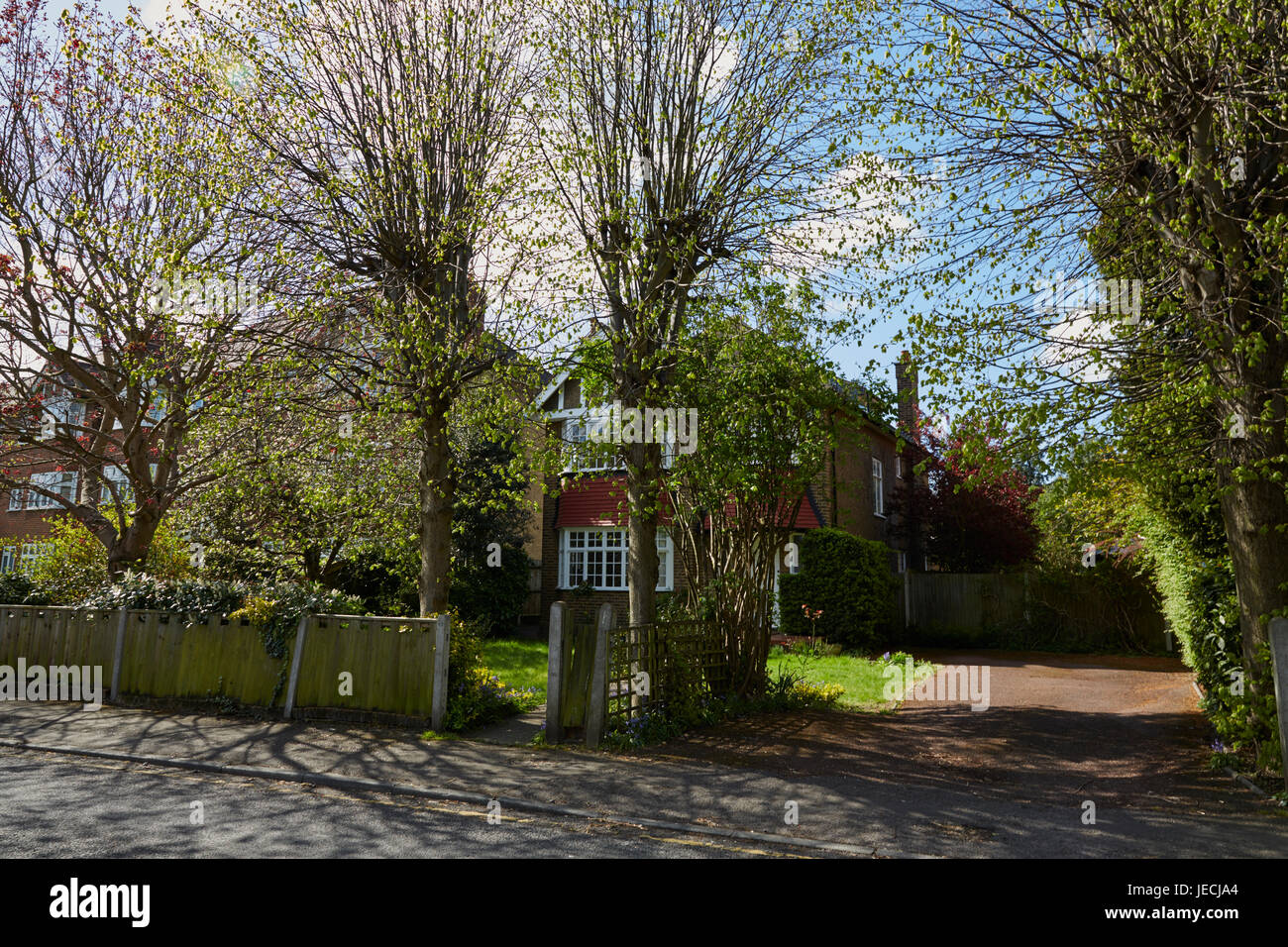Lingfield Road, London, UK Stock Photo Alamy