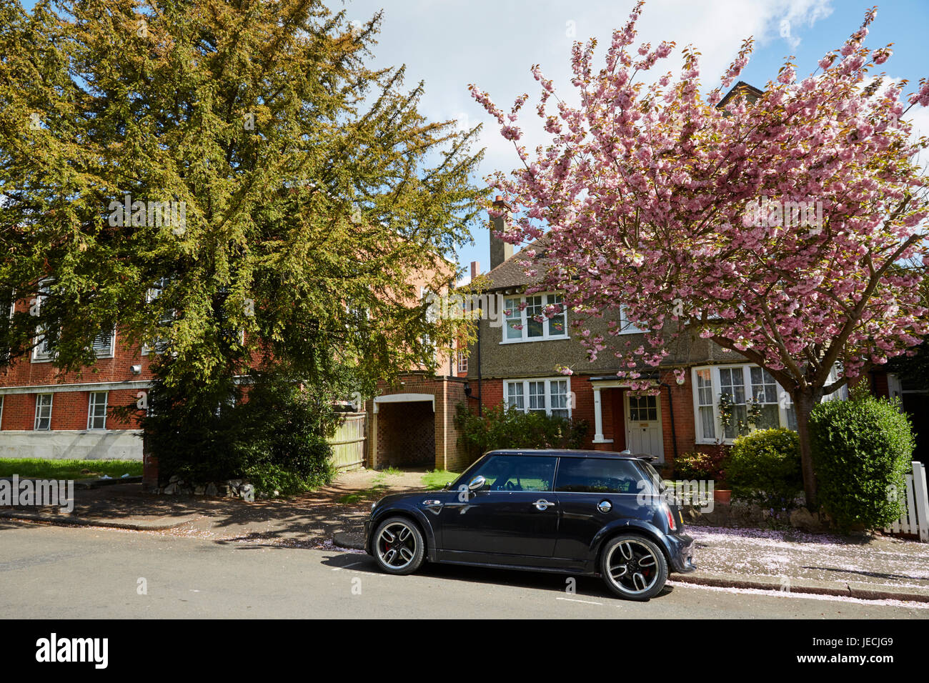 Murray Road, London, UK Stock Photo Alamy