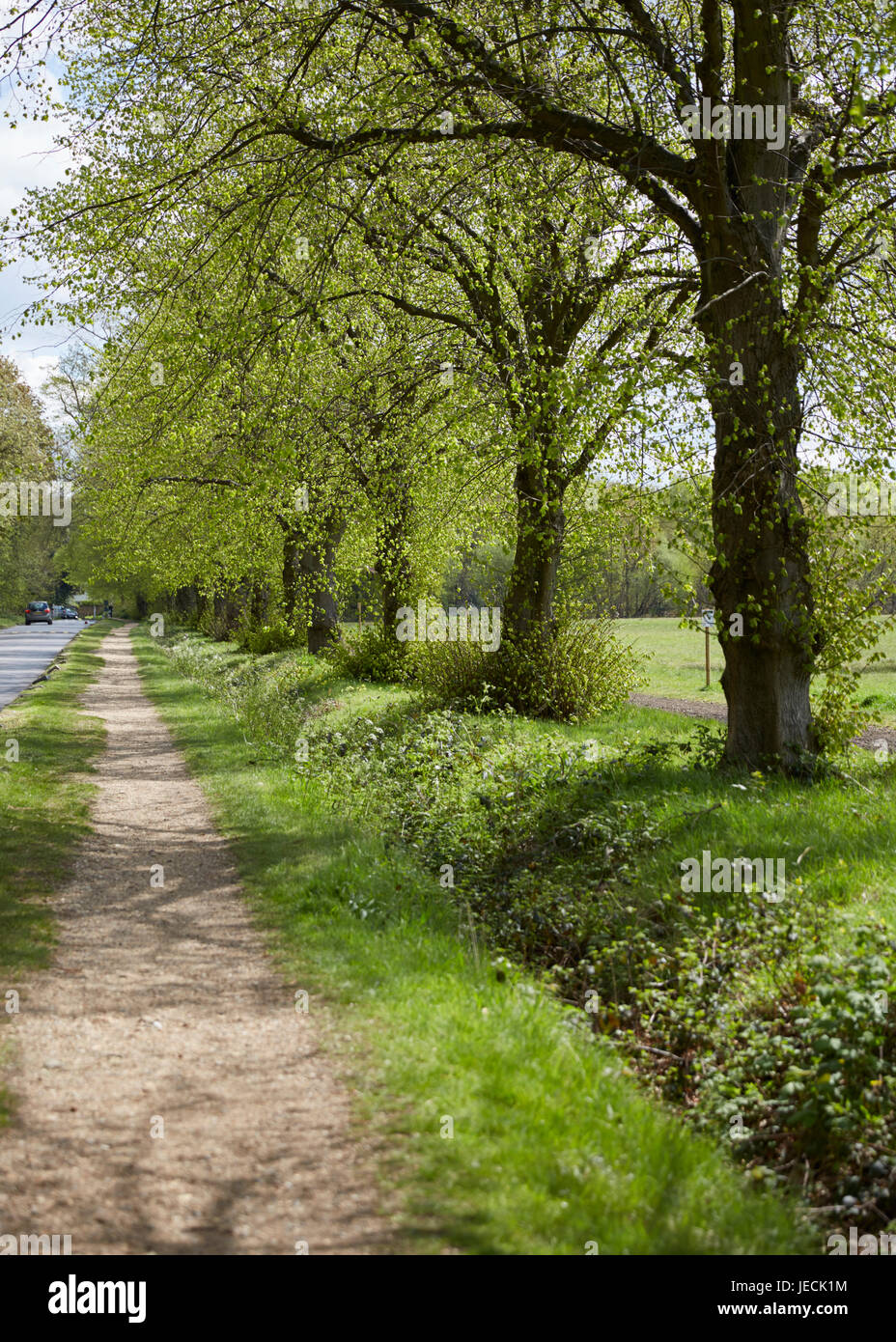 Wimbledon Common, London, UK Stock Photo Alamy