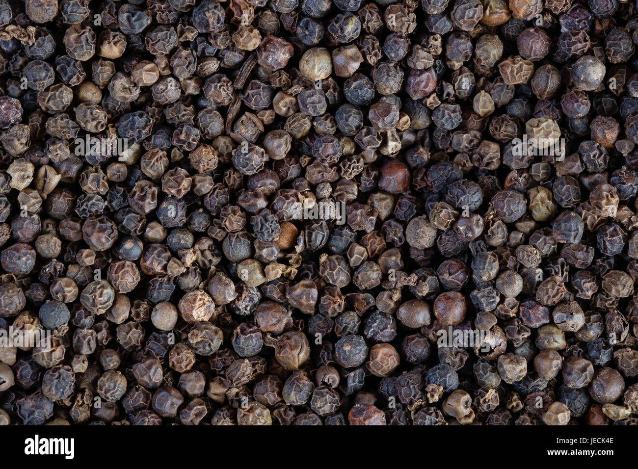 Black peppercorn seeds Stock Photo Alamy