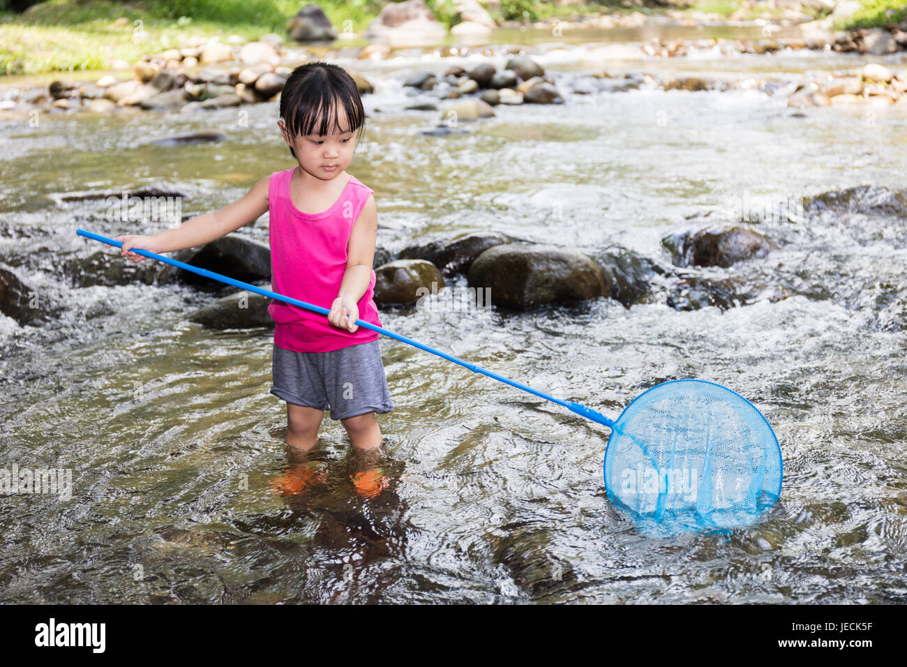 https://c8.alamy.com/comp/JECK5F/asian-chinese-little-girl-catching-fish-with-fishing-net-in-the-creek-JECK5F.jpg