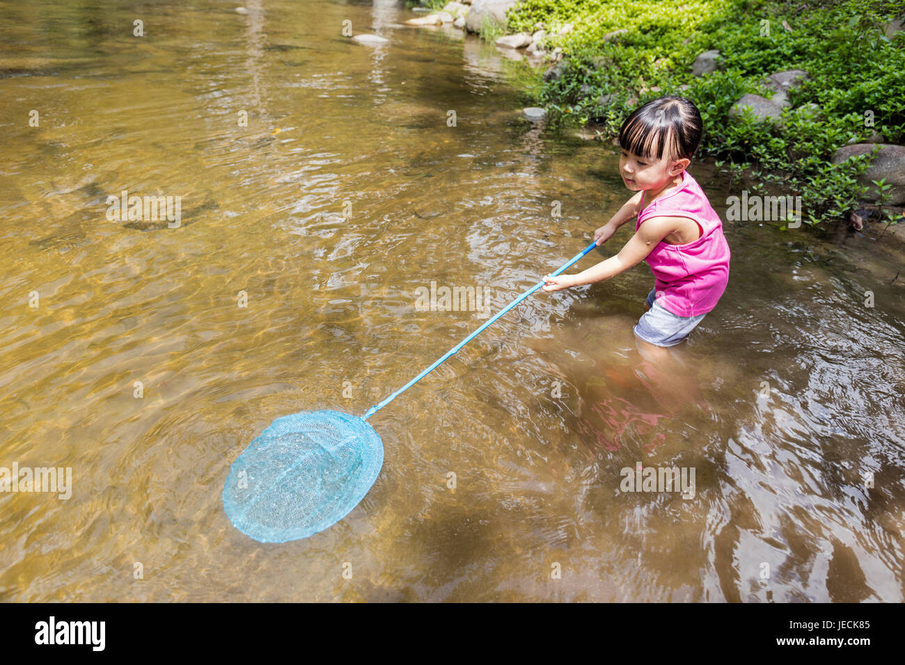 https://c8.alamy.com/comp/JECK85/asian-chinese-little-girl-catching-fish-with-fishing-net-in-the-creek-JECK85.jpg