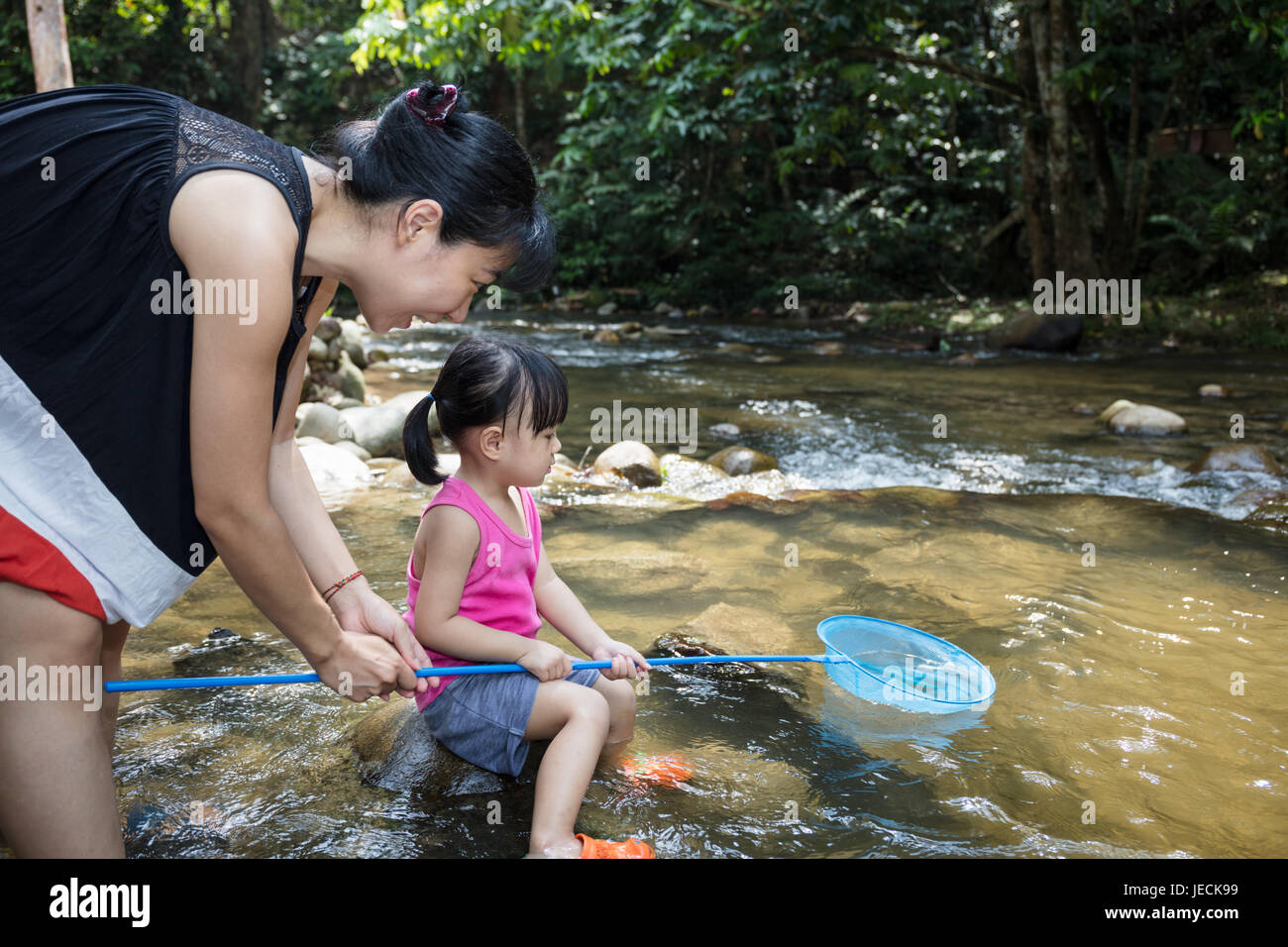 Child catching fish with net hi-res stock photography and images