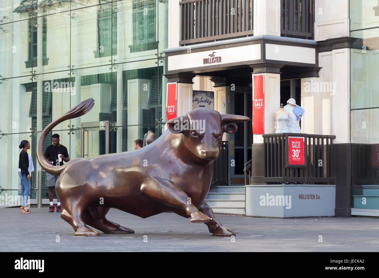 bullring hollister