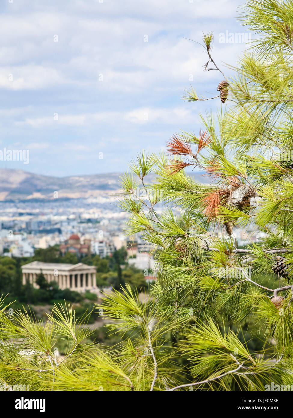 travel to Greece - green twig on foreground and unfocused view of Temple of Hephaestus in Agora on top of the Agoraios Kolonos hill from Areopagus hil Stock Photo