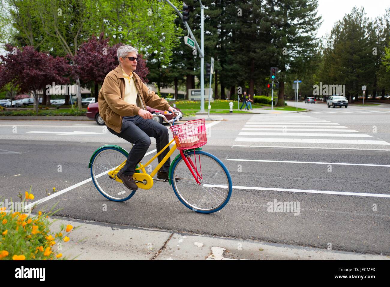 A middle-aged, male employee of Google Inc rides a colorful Google Bike down a road at the Googleplex, headquarters of Google Inc in the Silicon Valley town of Mountain View, California, April 7, 2017. Stock Photo