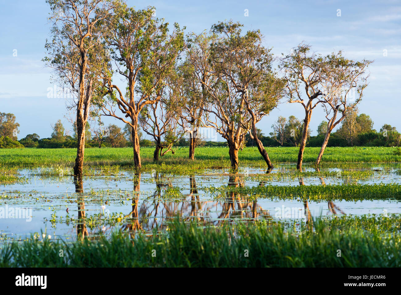 Flooded wetlands during the wet season, Kakadu National park, Northern territory, Australia Stock Photo
