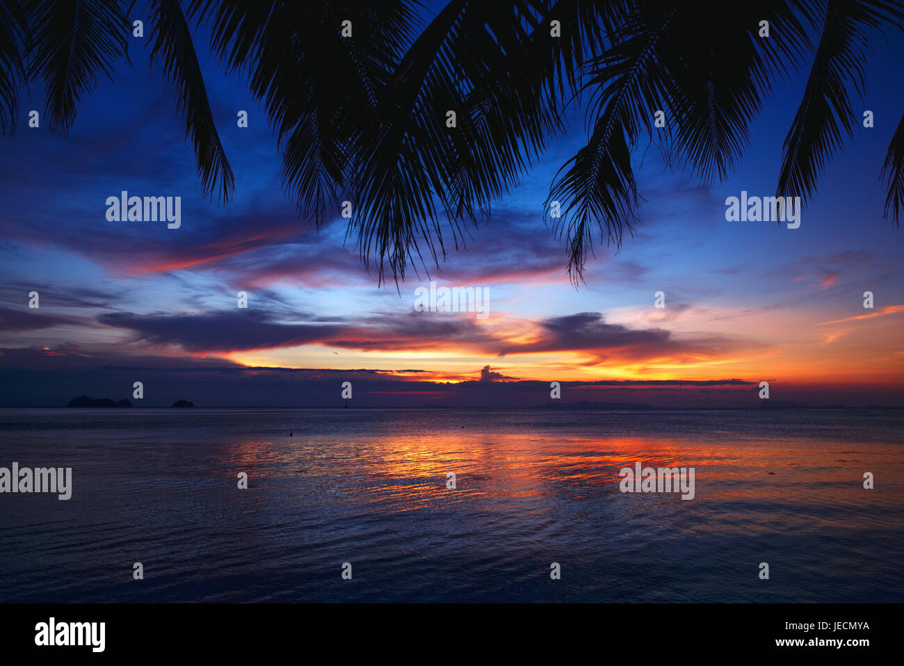 Tropical sunset beach with palm tree Stock Photo - Alamy