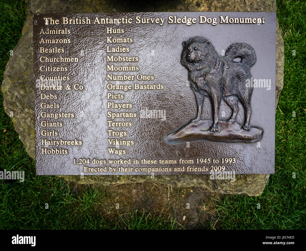 Polar Expedition Sled Dog Memorial Statue at the Scott Polar Research Institute in Cambridge, part of the University of Cambridge Stock Photo