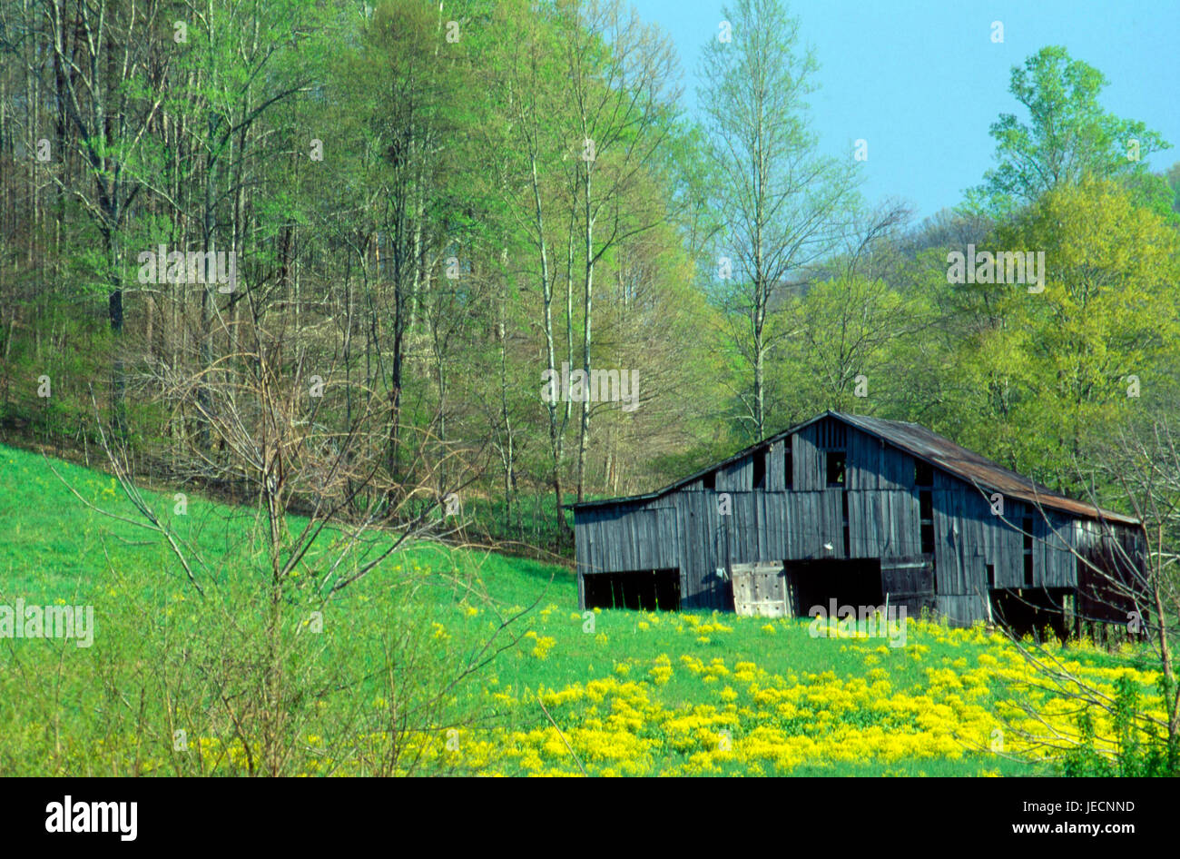Near McKee, Kentucky 4 12 Stock Photo Alamy