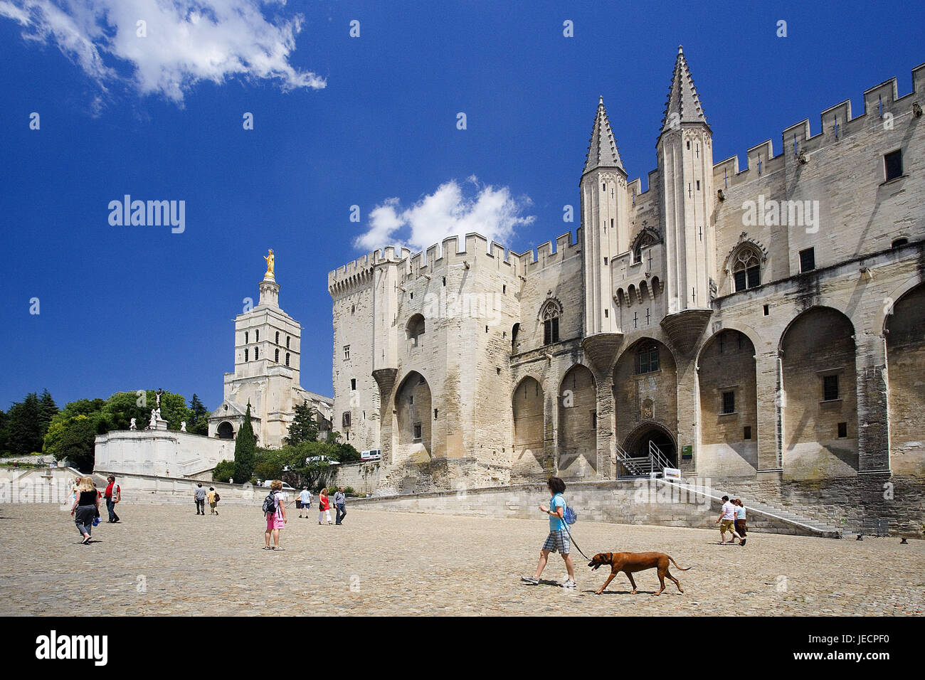 France, Provence, Avignon, town view, pope's palace, tourist, town, palace, doubles palace, structure, architecture, culture, place of interest, destination, tourism, UNESCO-world cultural heritage, person, sightseeing, Stock Photo