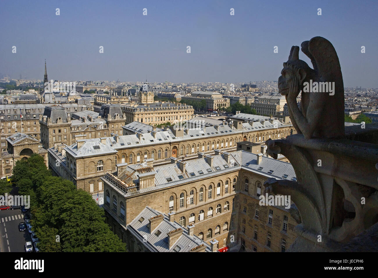France, Paris, cathedral Notre lady, detail, defensive wall projection, sculpture, capital, church, structure, Gothic, sacred construction, Notre lady's cathedral, roof, roof bleed, gargoyle, place of interest, landmark, town overview, Stock Photo