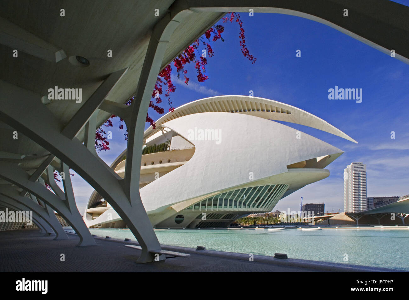 Spain, Valencia, Ciudad de read Artes Y read Ciencias', Palau de les Arts Reina Sofia, opera, basin, cultural park, subject park, outside areas, uncovered areas, structures, buildings, architecture, avant-garde, modern, music palace, opera, opera-house, construction, place of interest, destination, tourism, play of water, well, water cymbal, background, high rises, Stock Photo