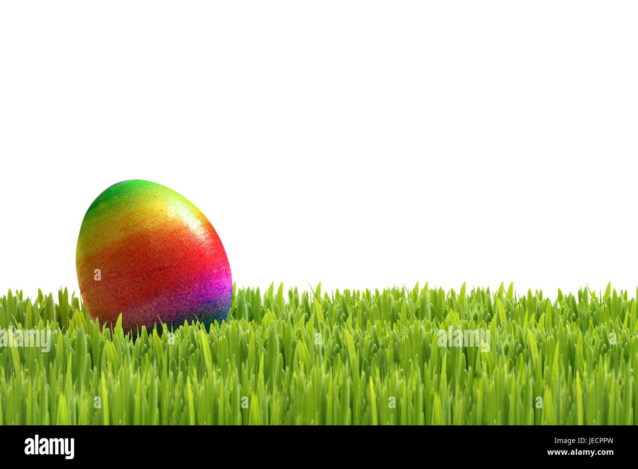 Easter, meadow, Easter egg, rainbowcoloured, egg search, [M], grass