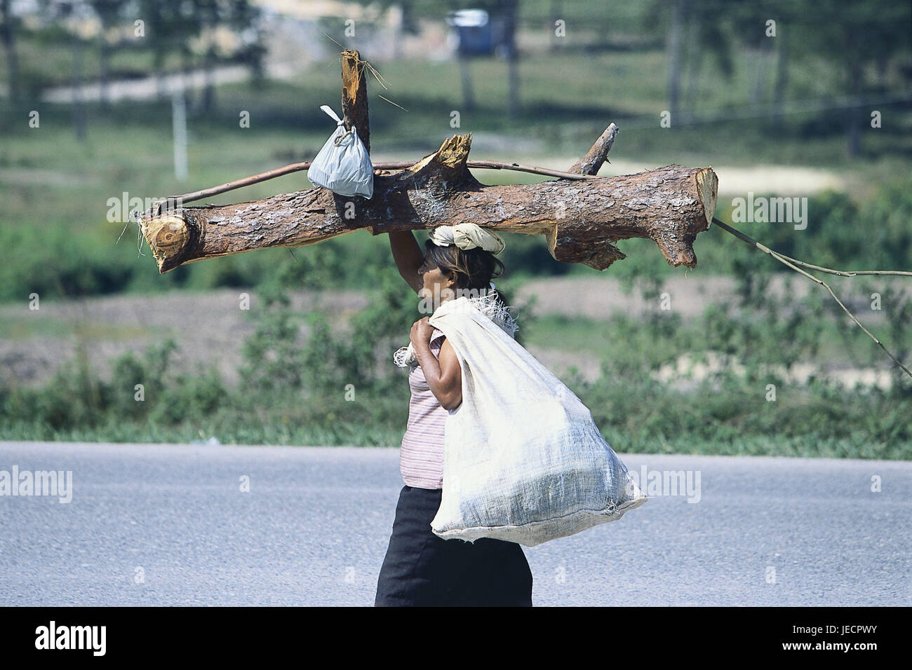 Honduras, Santa Rose De Copan, woman, woodwork, pouch, carry, at the side, no model release, Central America, Latin America, place, mountain village, rurally, people, work, walk, head load, seriously, everyday life, Stock Photo