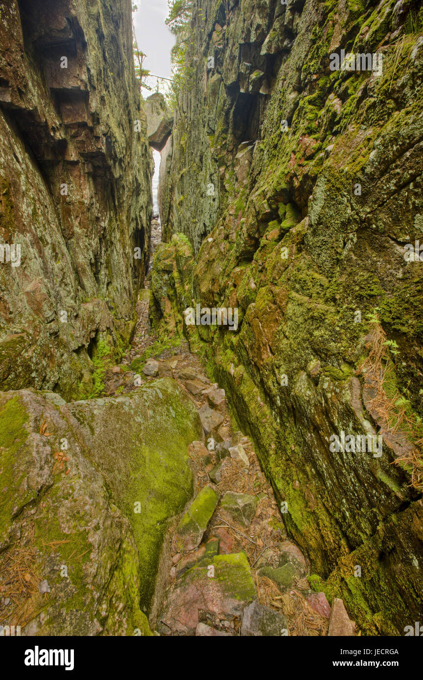 Canada, Ontario, brine Superior, Agawa rock Pictographs Trail, gorge, bemoost, Stock Photo