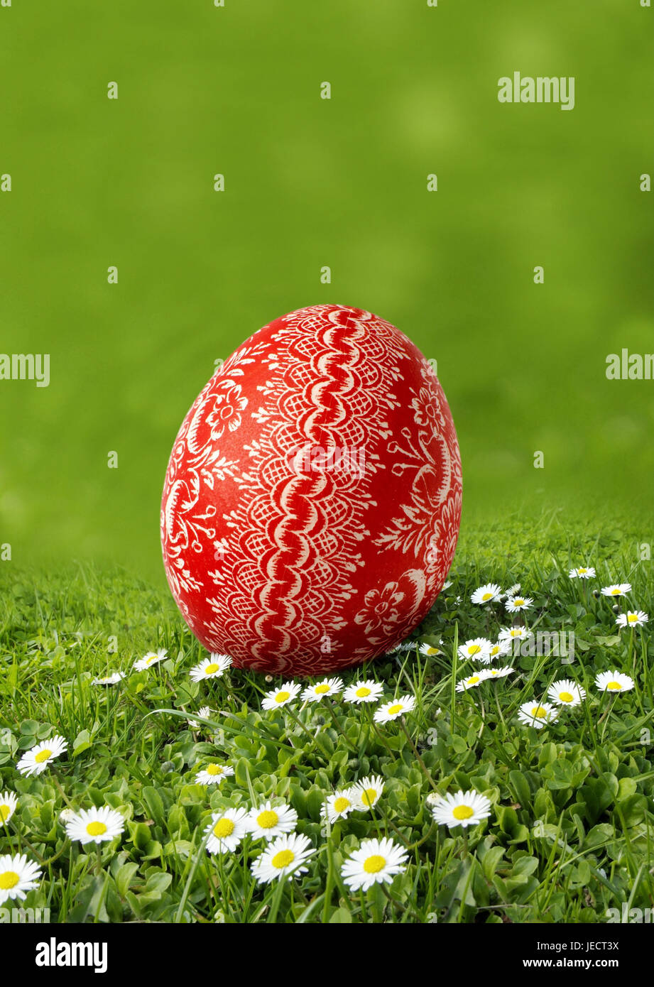Easter, meadow, daisy, Easter egg, red, paints, ornaments, egg search, [M], grass, flower meadow, spring meadow, flowers, little flowers, culture, feast, Easter feast, Easter time, Easter traditions, tradition, österlich, egg, Hühnerei, one, individually, tintedly, sample, flowers, little flowers, painting, skilfully, filigree, Easter motif, season, icon, spring, Easter Sunday, childhood, Easter egg hunt, Easter hiding place, Stock Photo