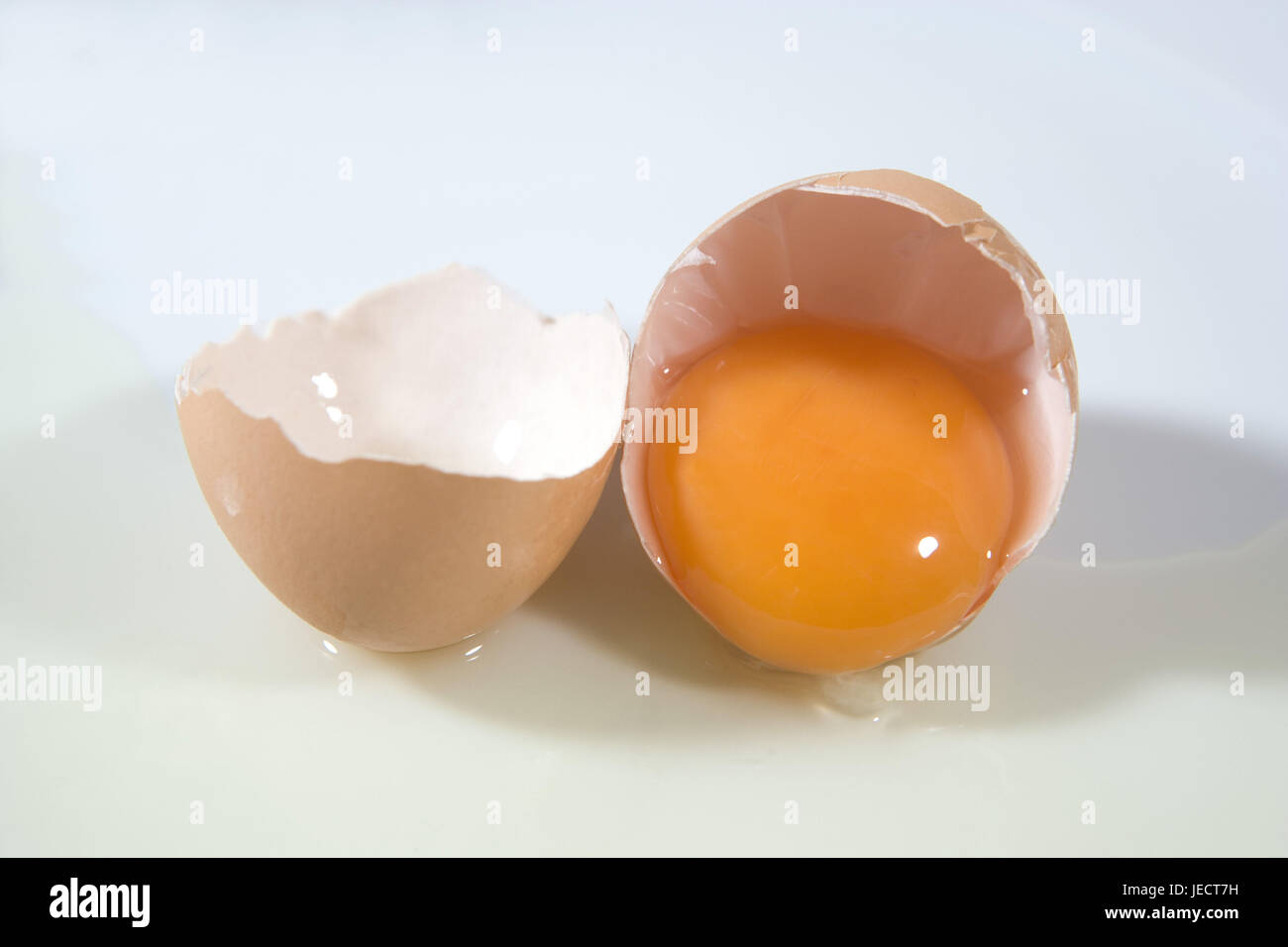 Yolk in the Eischale, raw, Stock Photo