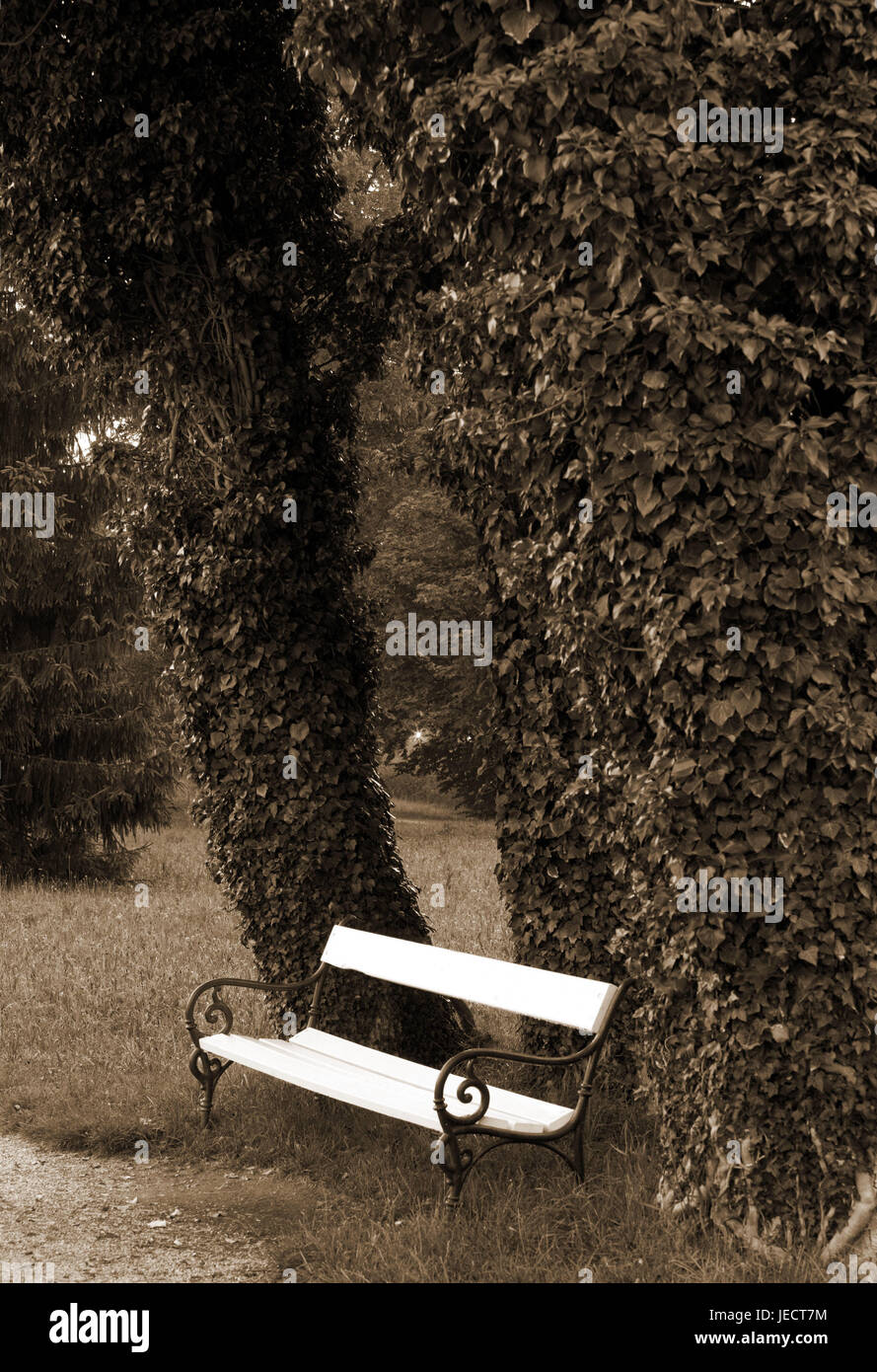 Wayside, trees, park-bench, s/w cuttlefish, [M], park, park, green attachment, seat opportunity, bank, broad-leaved trees, climbing plants, covered, overgrows, meadow, summer, dusk, nobody, exited, deserted, rest, romantically, rest, silence, BT, détente, rest, loneliness, nature, monochrome, Stock Photo