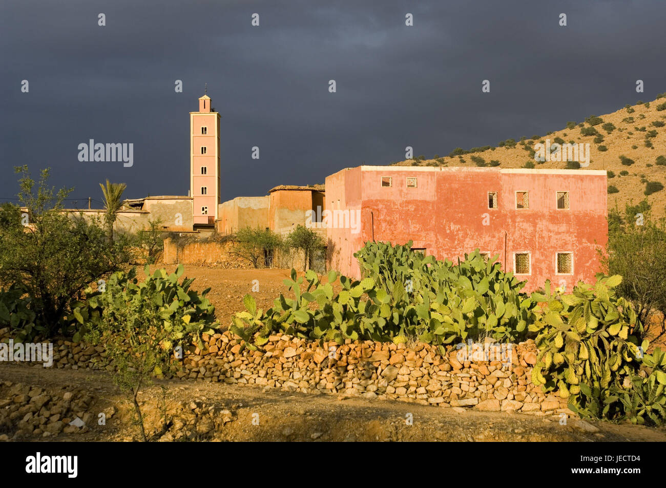 Morocco, Tafraoute, local view, minaret, evening light, Africa, North Africa, hill, mountain village, building, houses, residential houses, architecture, tower, church, sacred construction, believes, religion, Islam, vegetation, cloudies, Stock Photo