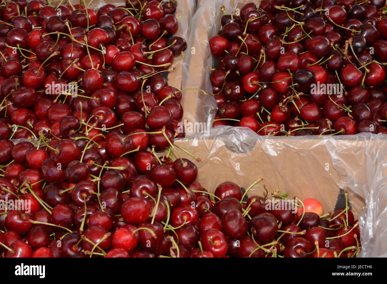 Bins of Red Bing Cherries at farmer's market Stock Photo Alamy