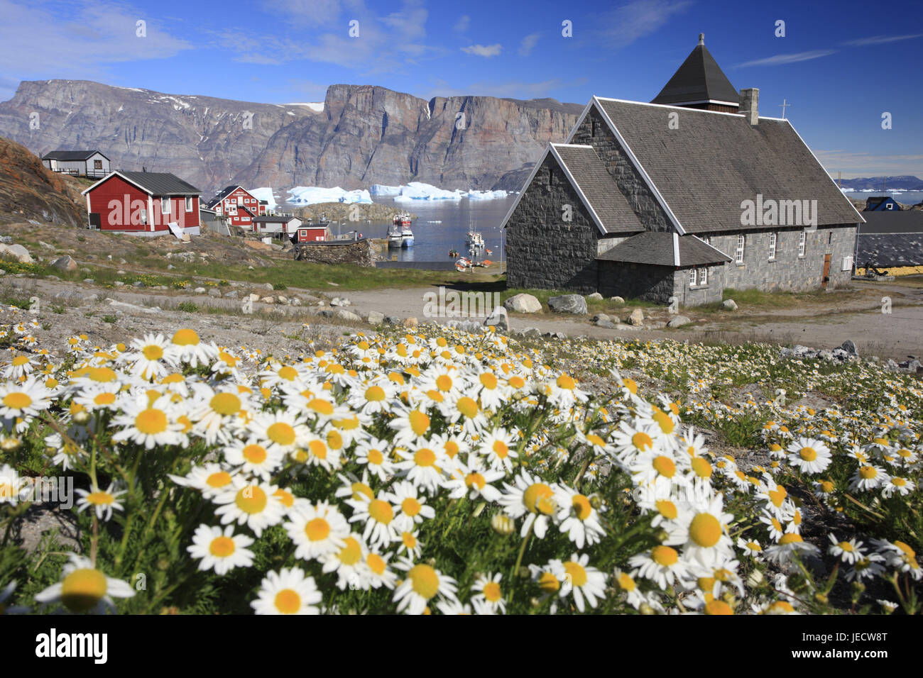 Greenland, Uummannaq, local view, church, margin rites, Northern Greenland, destination, sea, the Arctic, mountains, icebergs, glacier ice creams, coast, outside, E sharp, water, houses, timber houses, church, sacred construction, faith, religion, Christianity, meadow, flower meadow, flowers, blossom, sunny, Stock Photo