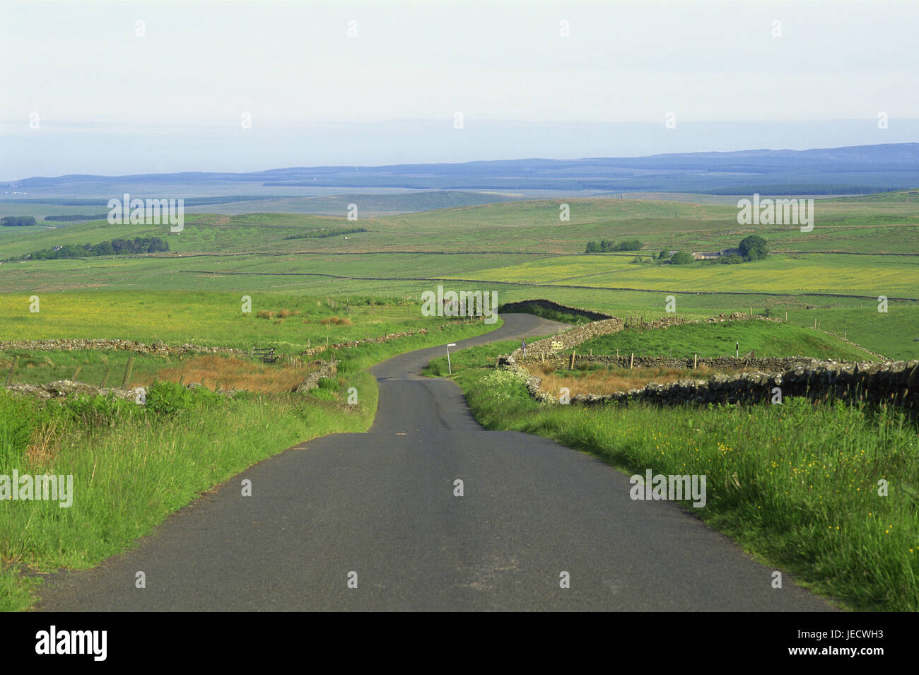 Great Britain, England, Northumbria, scenery, street, blank, Europe, Northumberland, width, distance, view, meadows, fields, hills, morning, atmospheric, deserted, remotely, country road, Stock Photo