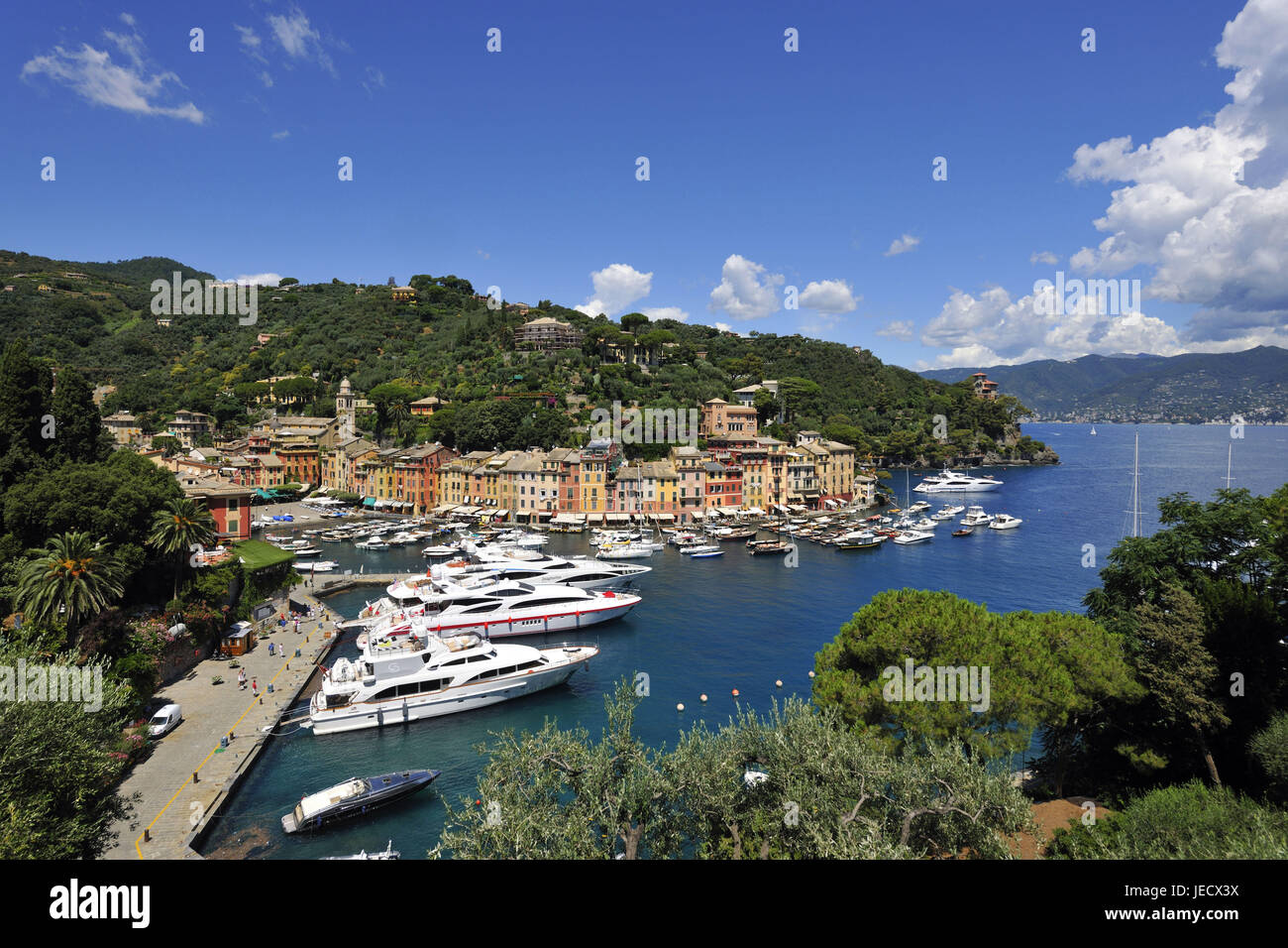 Italy, Liguria, Riviera Tu the Levant, nature harbour of Portofino, engine yachts, Stock Photo