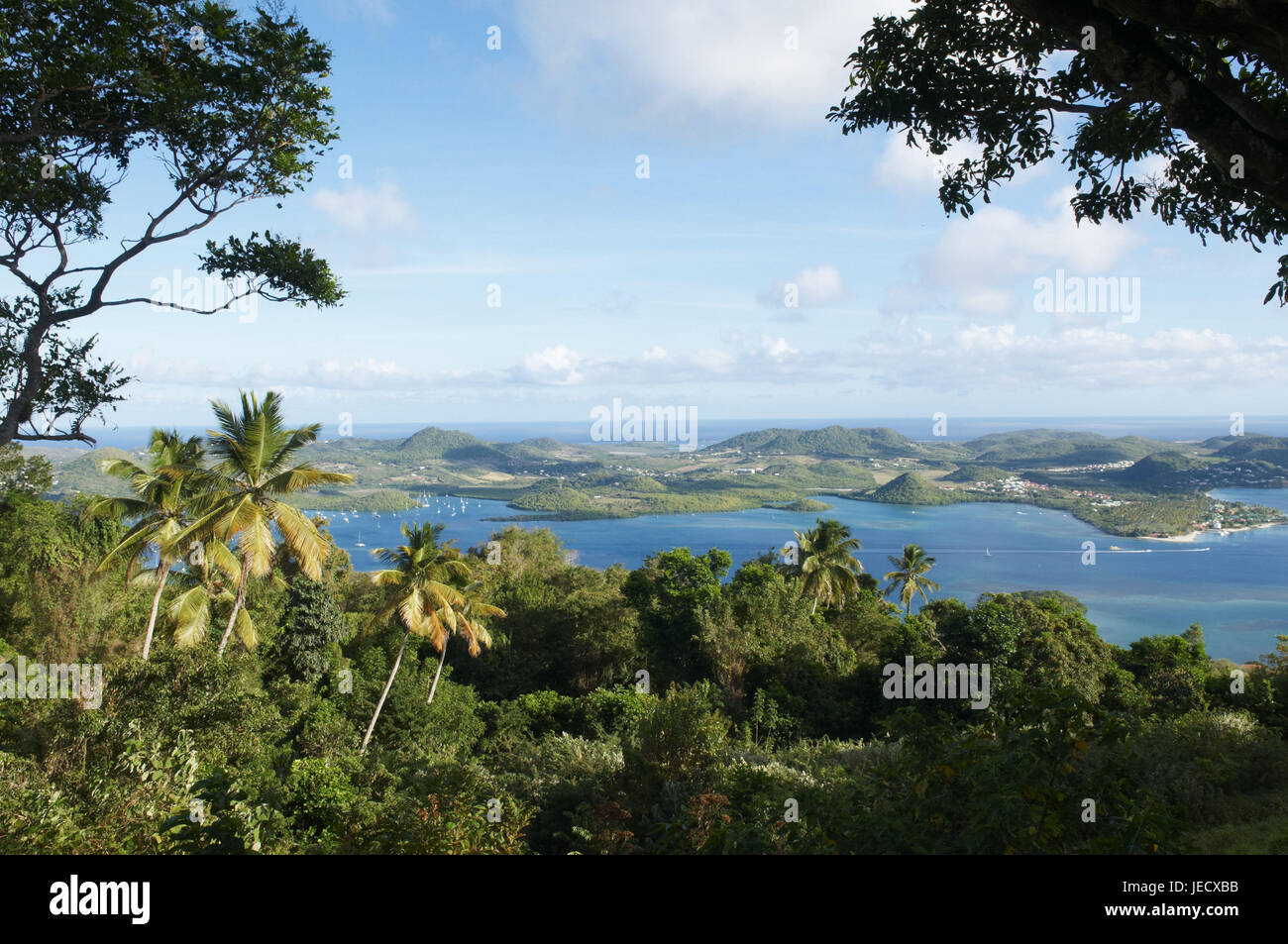 Martinique, panoramic view at Cul de Sac you Marine, Stock Photo