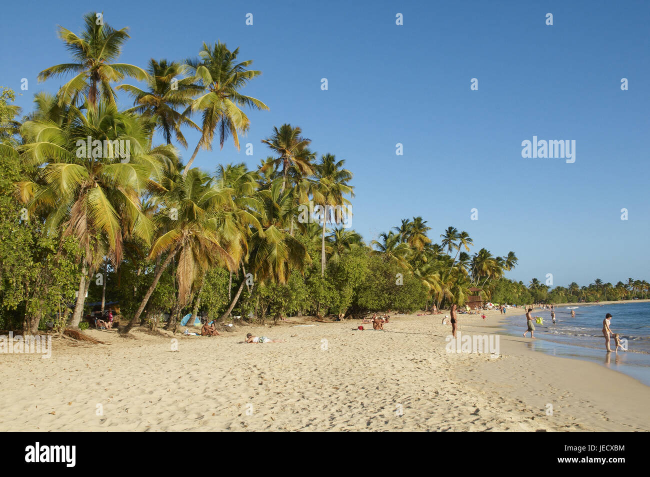 Panoramic Beach Images – Browse 2,065 Stock Photos, Vectors, and Video