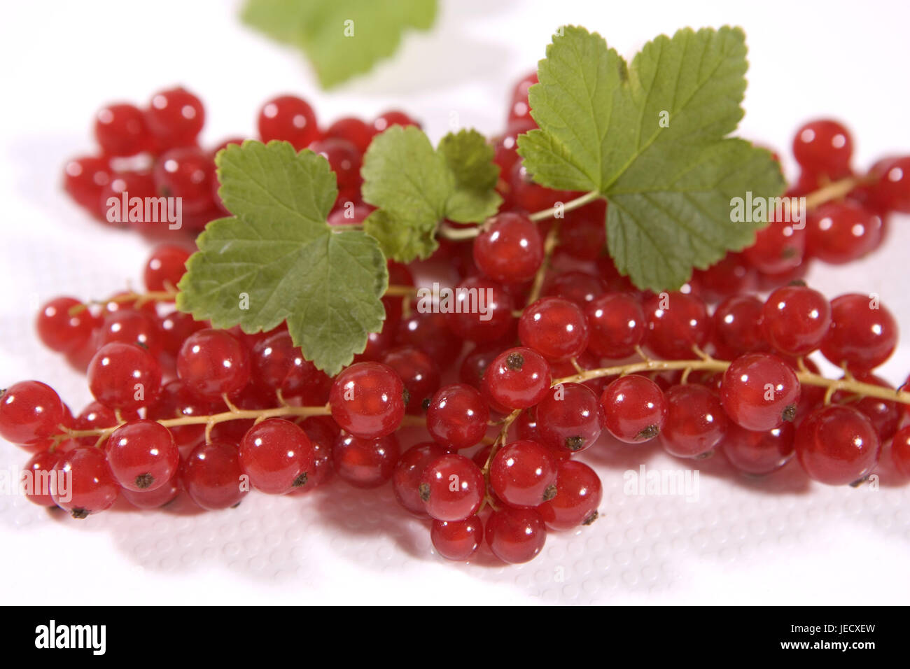 Currants, medium close-up, fruits, berries, red, Rispen, fruit, berries, dessert, dessert, freshly, leaves, Stock Photo
