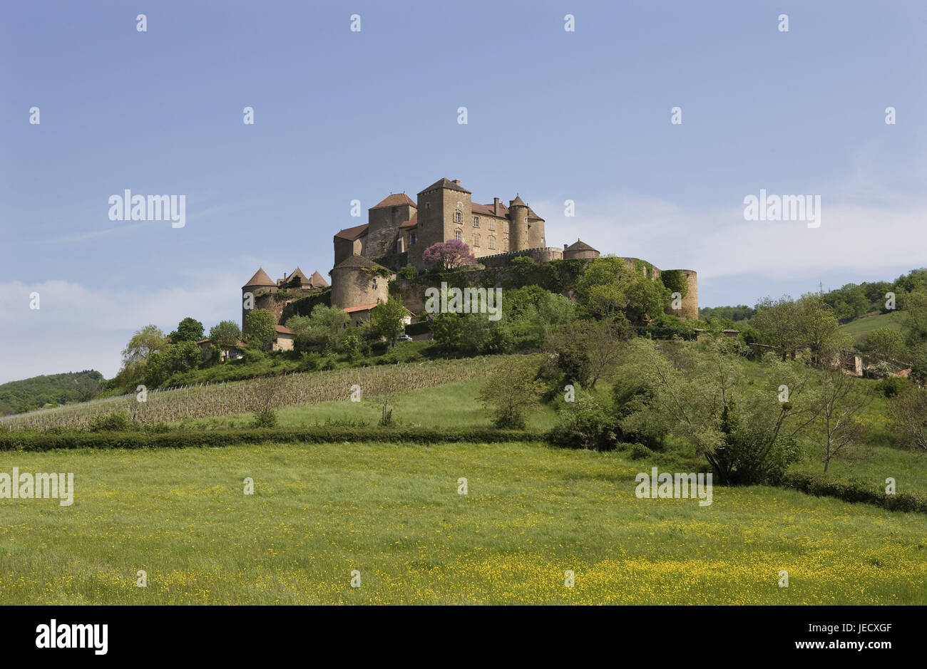 France, Burgundy, Department Saone-et-Loire, Berze-la-Ville, castle Berze-le-Chatel, Stock Photo