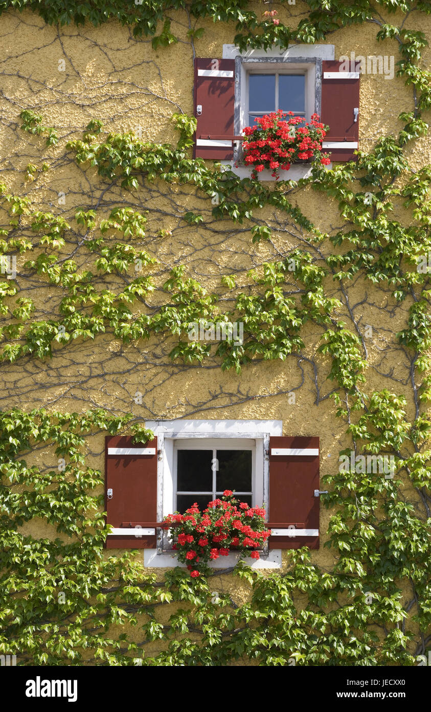 Germany, Bavaria, running, alp scissors tower, window, floral decoration, Stock Photo