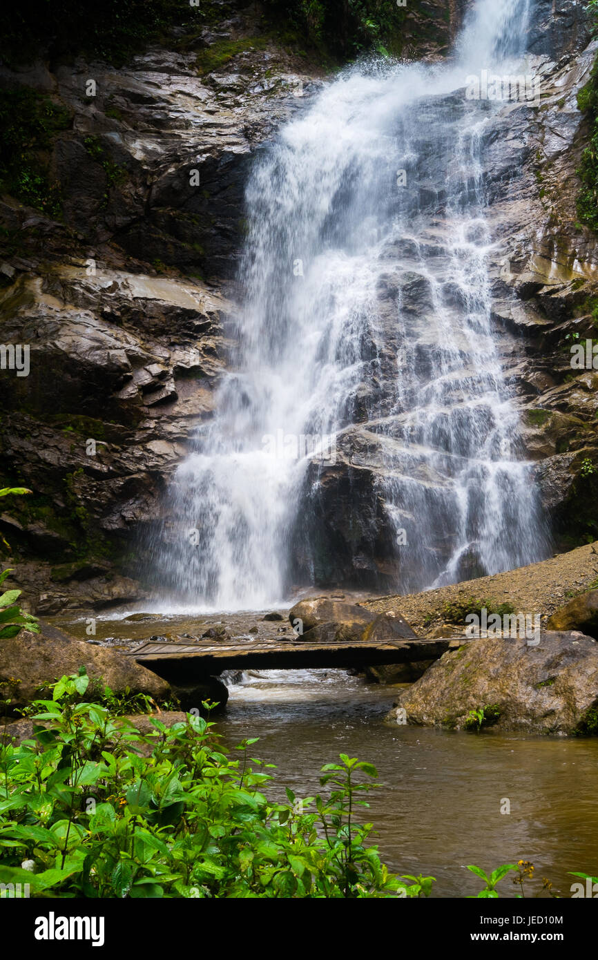 Waterfall in Podocarpus National Park near Zamora, Ecuador Stock Photo -  Alamy