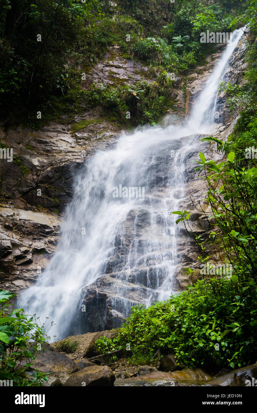 Waterfall in Podocarpus National Park near Zamora, Ecuador Stock Photo