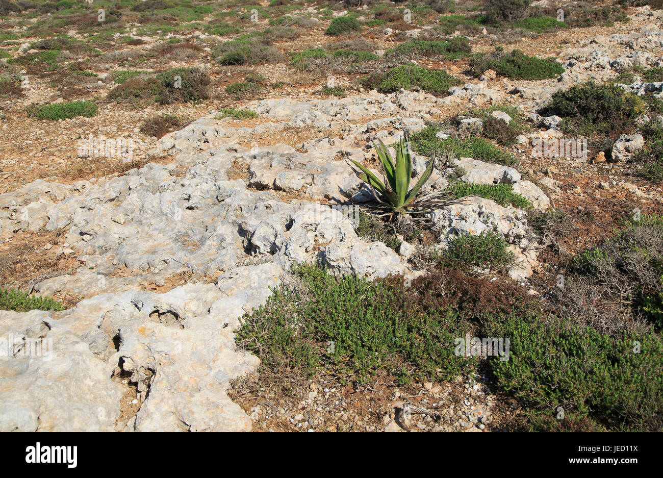Chemical Weathering Limestone High Resolution Stock Photography and Images Alamy