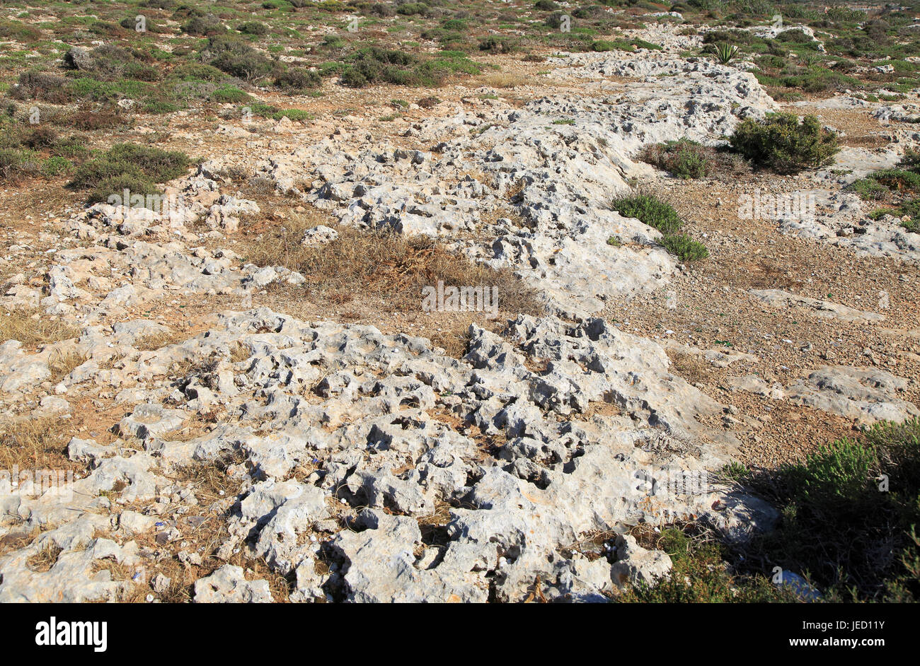 Chemical Weathering Limestone High Resolution Stock Photography and
